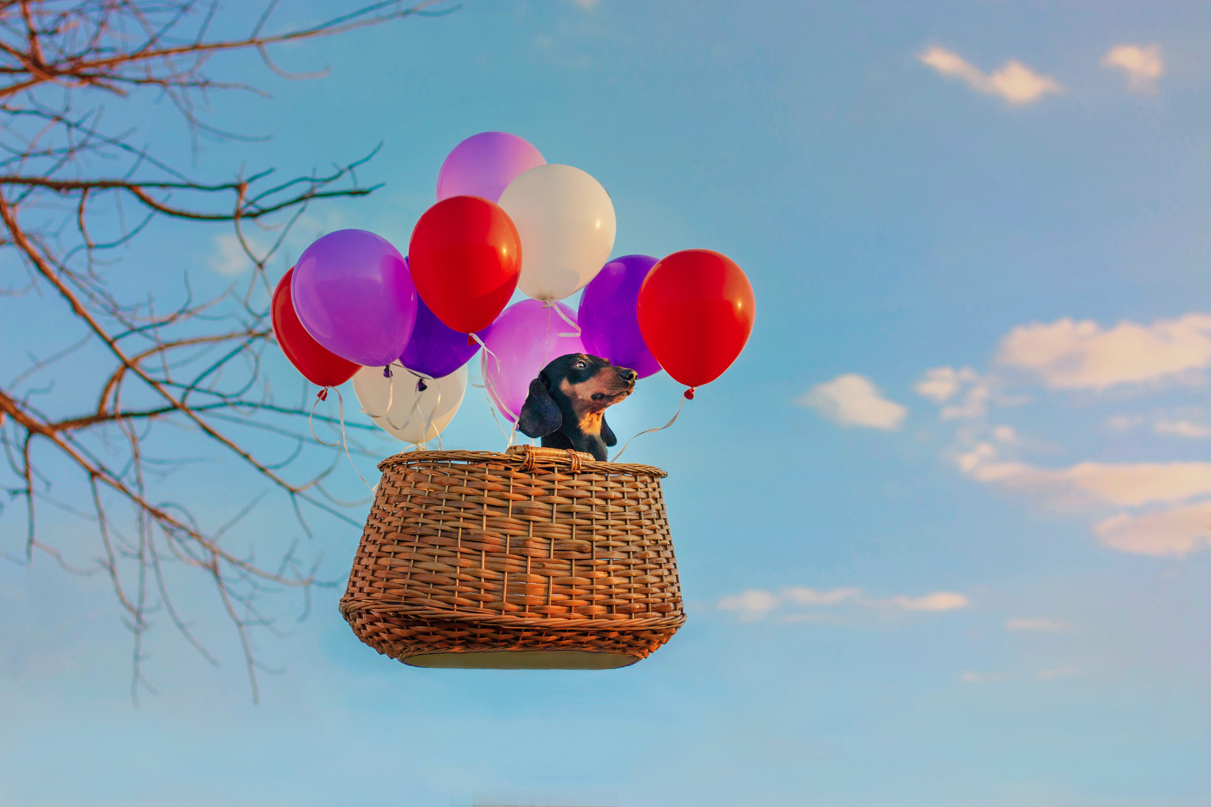 Foto de Sueli De Cassia dos Santos 7