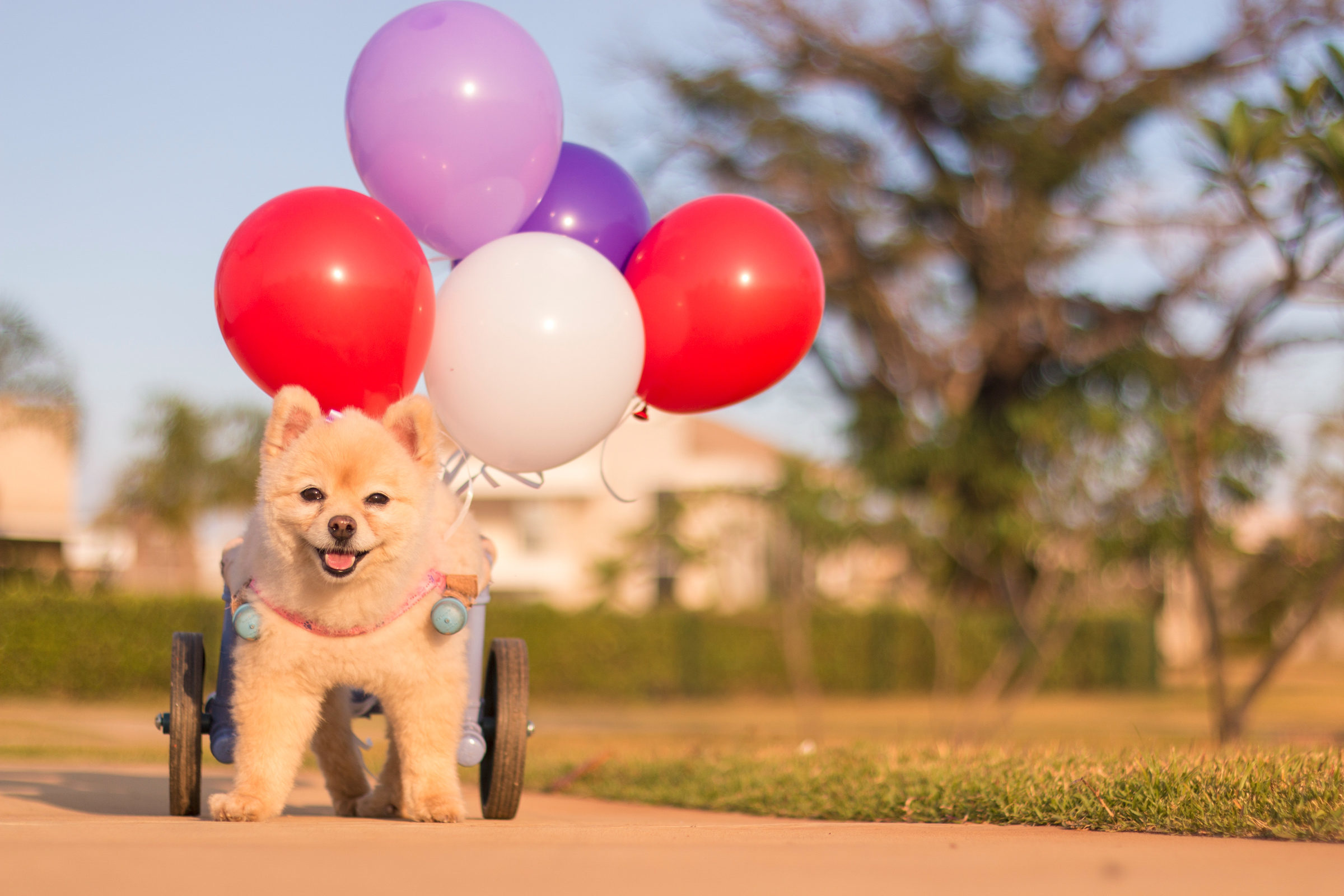 Foto de Sueli De Cassia dos Santos 6