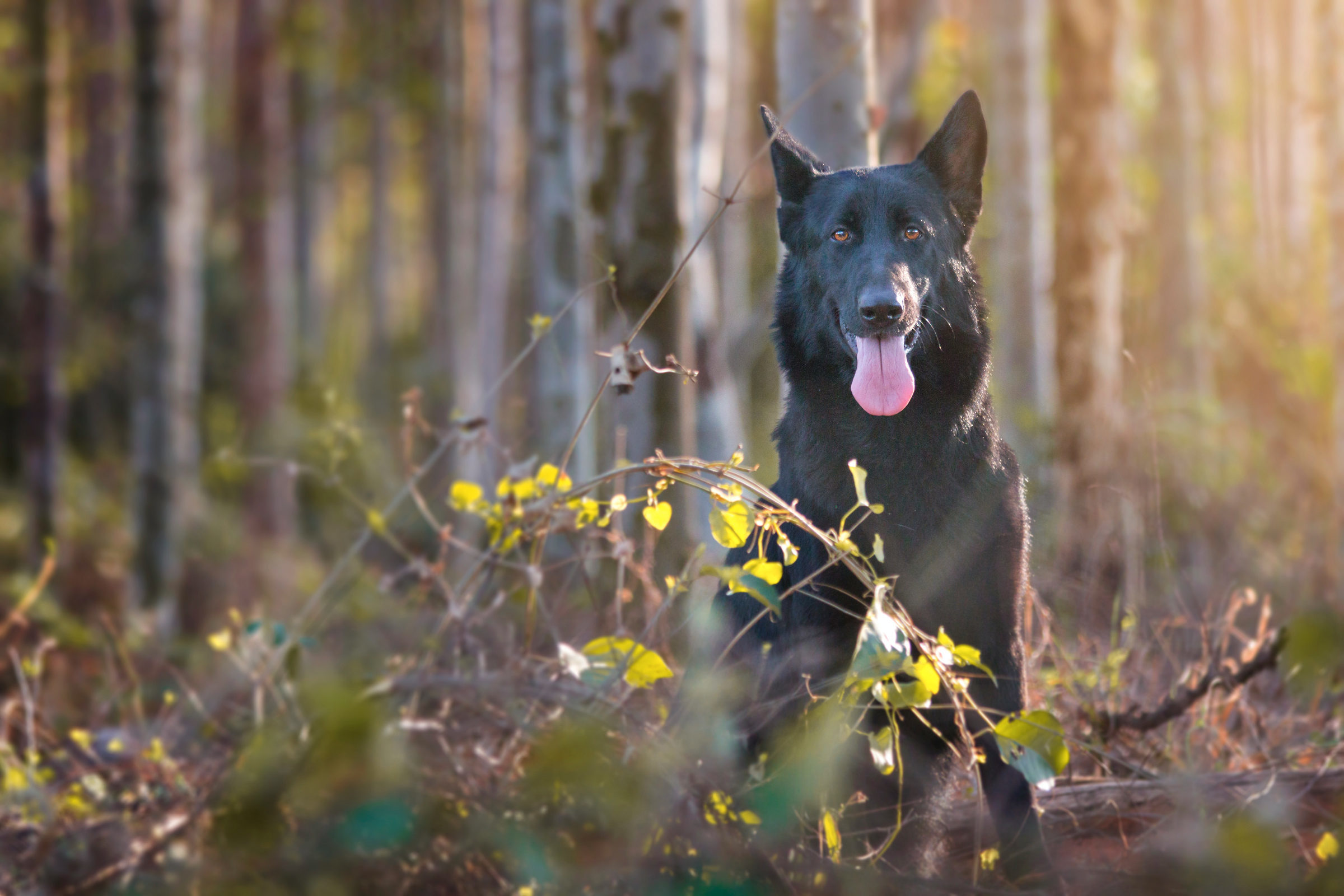Foto de Sueli De Cassia dos Santos 2