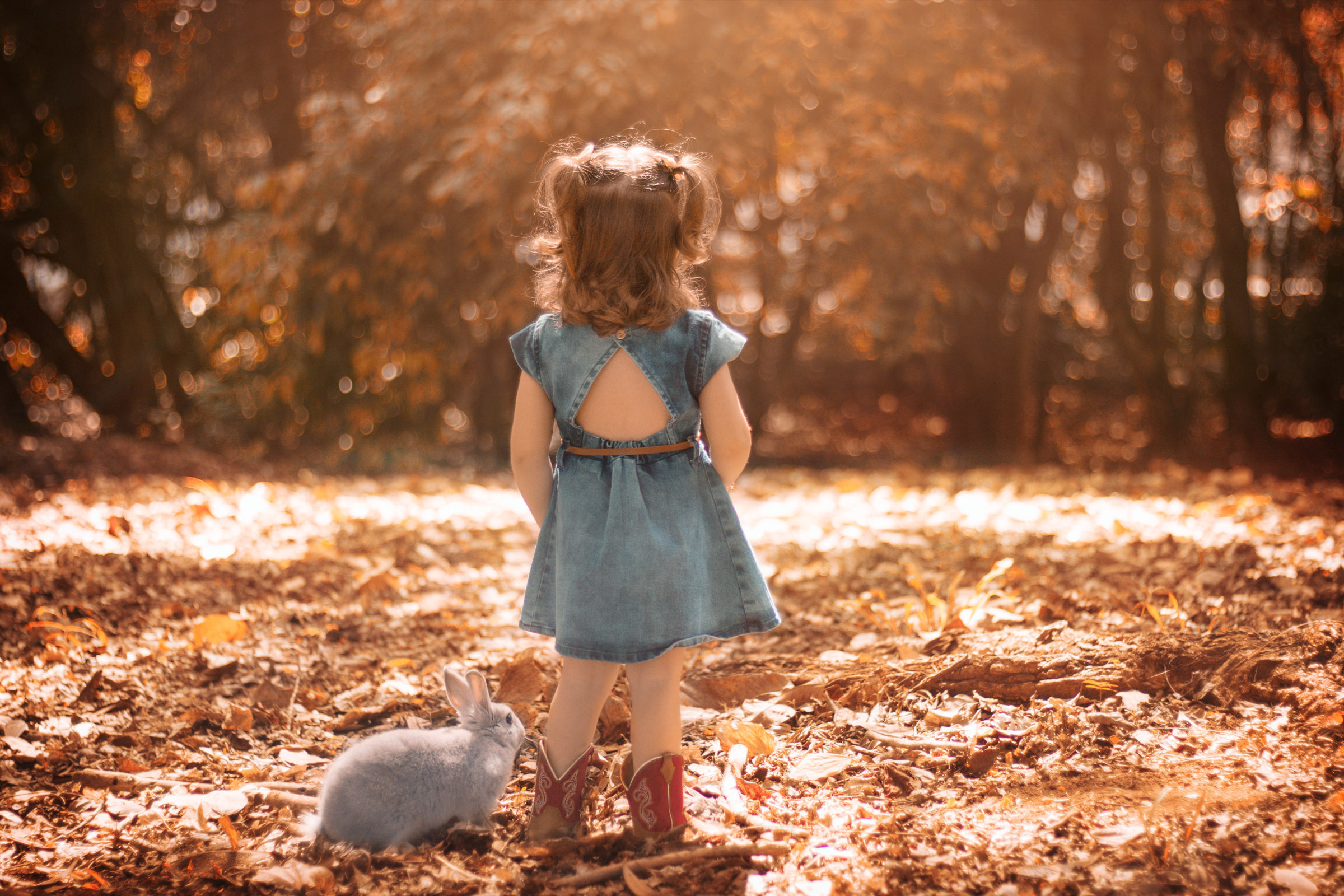 Foto de Sueli De Cassia dos Santos 5