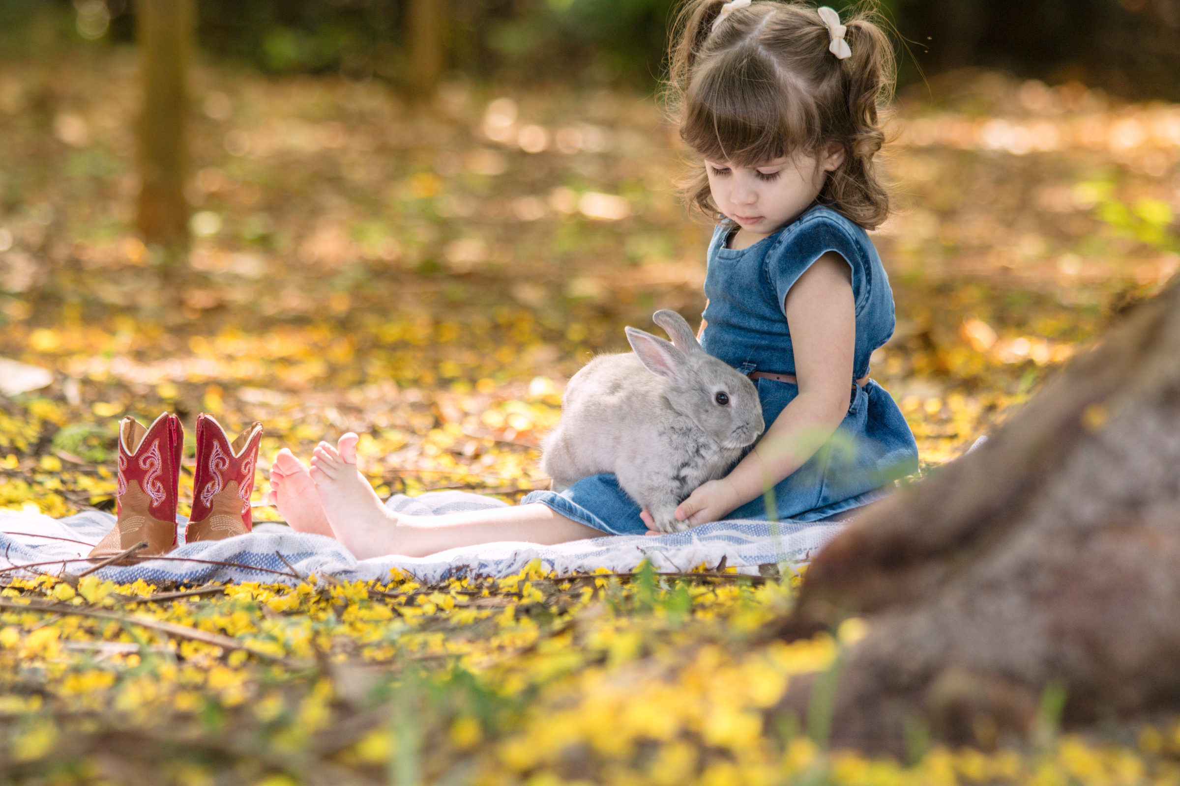 Foto de Sueli De Cassia dos Santos 10