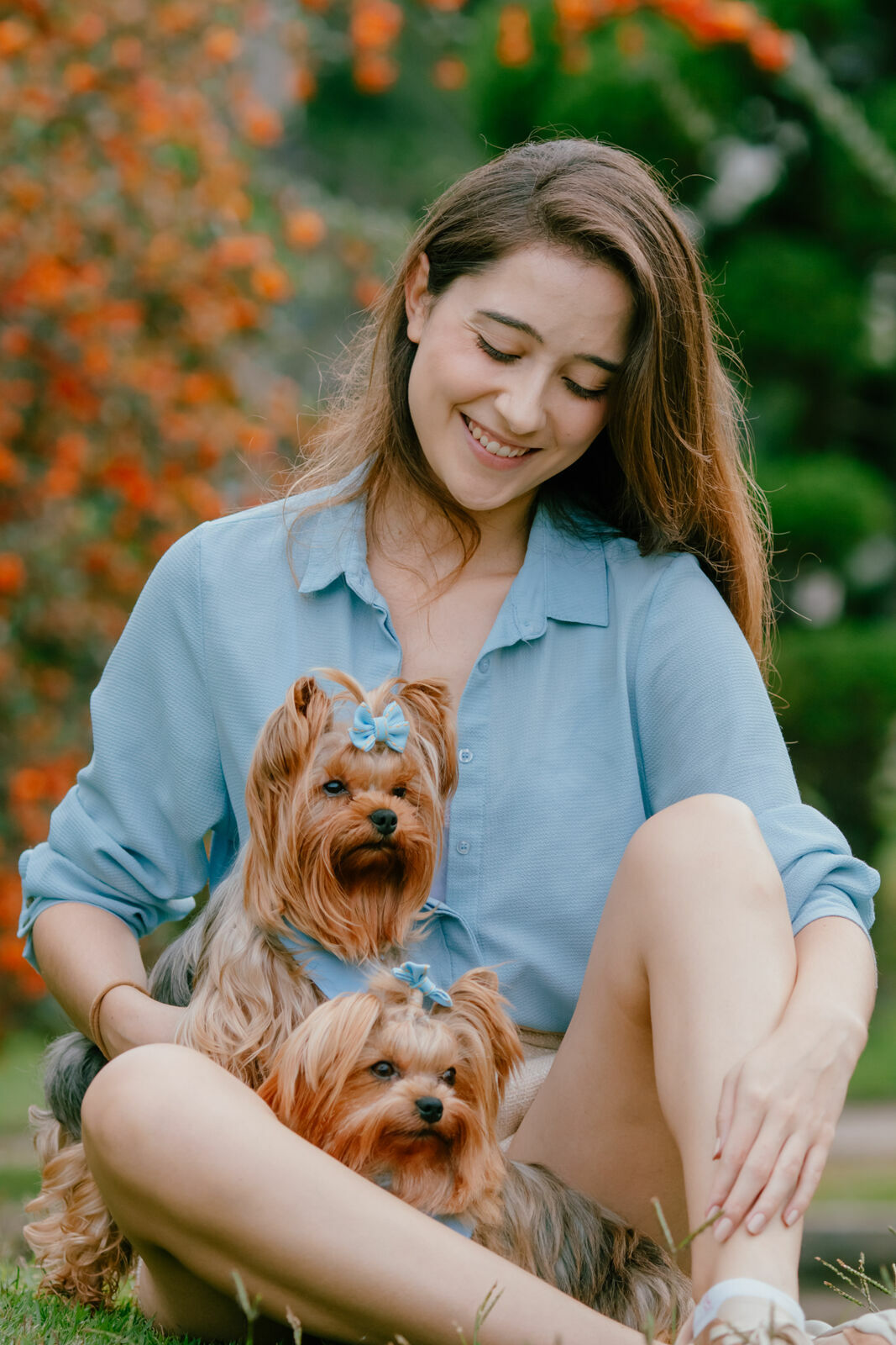Foto Como preparar seu pet para um ensaio Foto Como preparar seu pet para um ensaio - Imagem 1