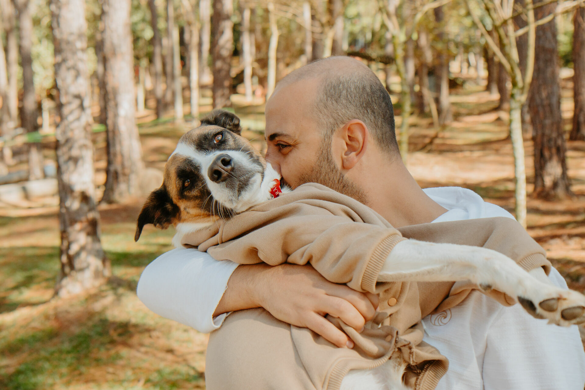 Foto Pré-wedding com cachorro: como incluir seu melhor amigo nesse momento tão especial Foto Pré-wedding com cachorro: como incluir seu melhor amigo nesse momento tão especial - Imagem 3