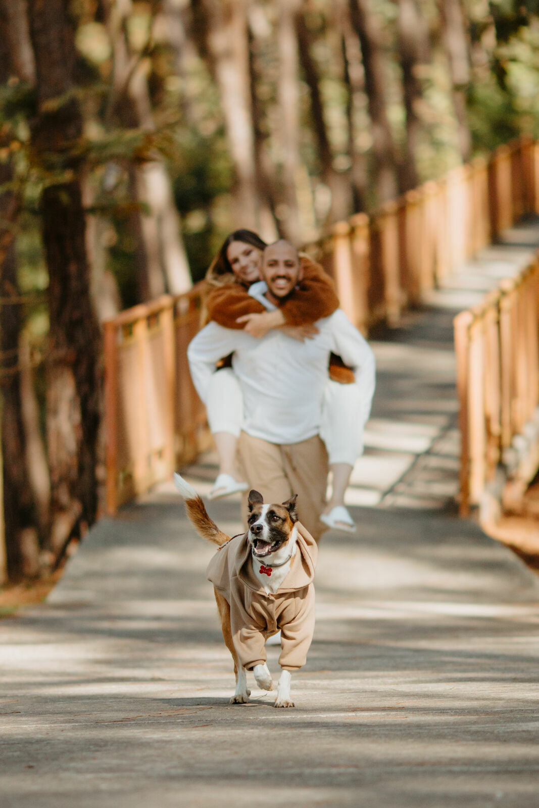 Foto Pré-wedding com cachorro: como incluir seu melhor amigo nesse momento tão especial Foto Pré-wedding com cachorro: como incluir seu melhor amigo nesse momento tão especial - Imagem 5