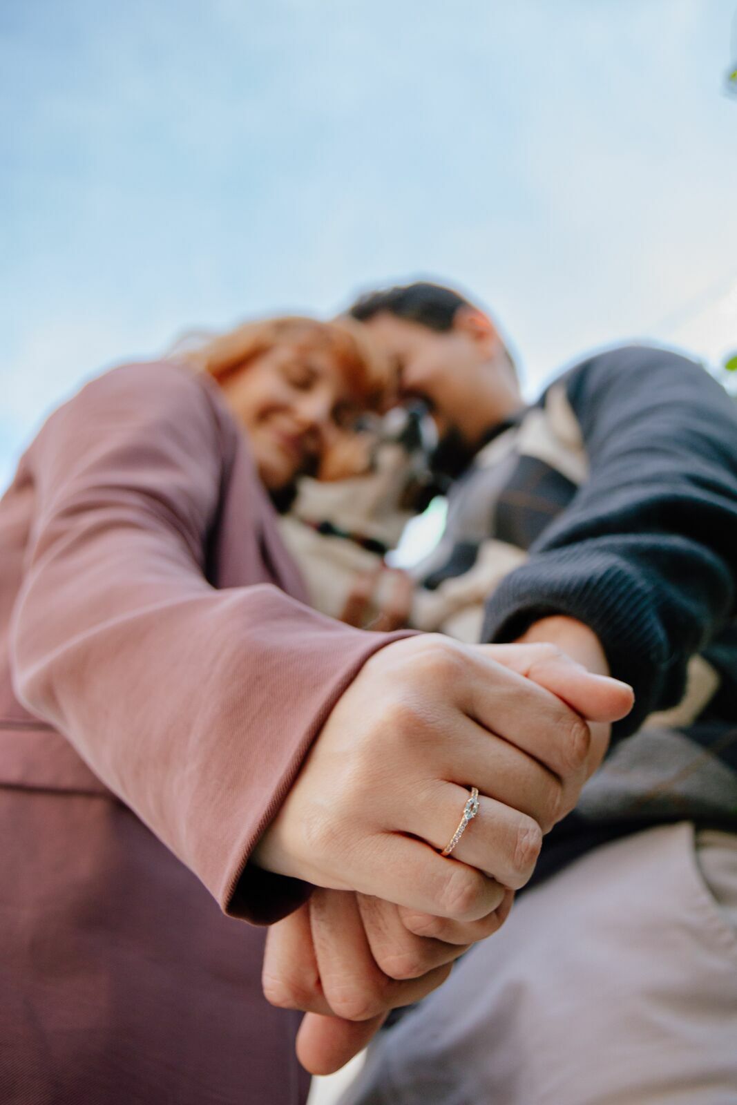 Foto Pedido de casamento com cachorro: ideias para um momento inesquecível Foto Pedido de casamento com cachorro: ideias para um momento inesquecível - Imagem 2